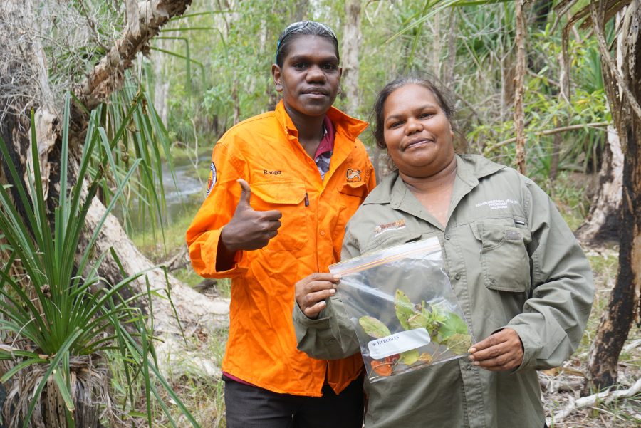 Two rangers holding up a plant sample 