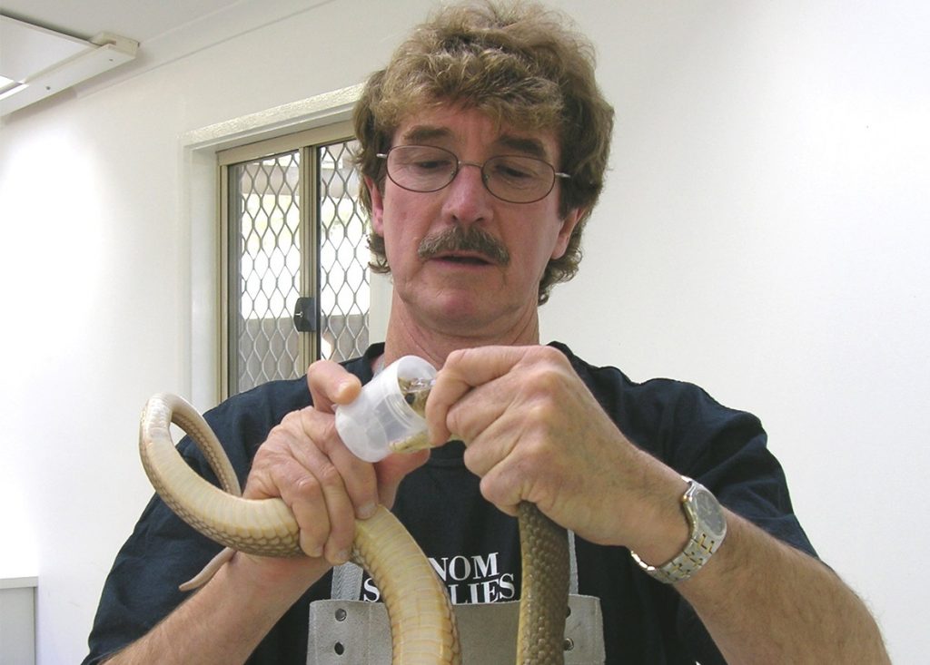 Scientist extracting snake venom