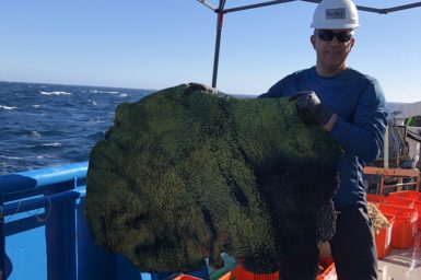 Researcher holding giant sponge