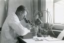 A researcher looking down a microscope
