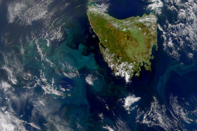 Can you spot the eddies? This NASA image shows a field of eddies in the waters around Tasmania. The swirling motion of eddies in the ocean cause nutrients that are normally found in colder, deeper waters to come to the surface. Here, phytoplankton (tiny ocean plants) feeding on these nutrients color the water beautiful shades of blue and green. Image: National Oceanic and Atmospheric Administration