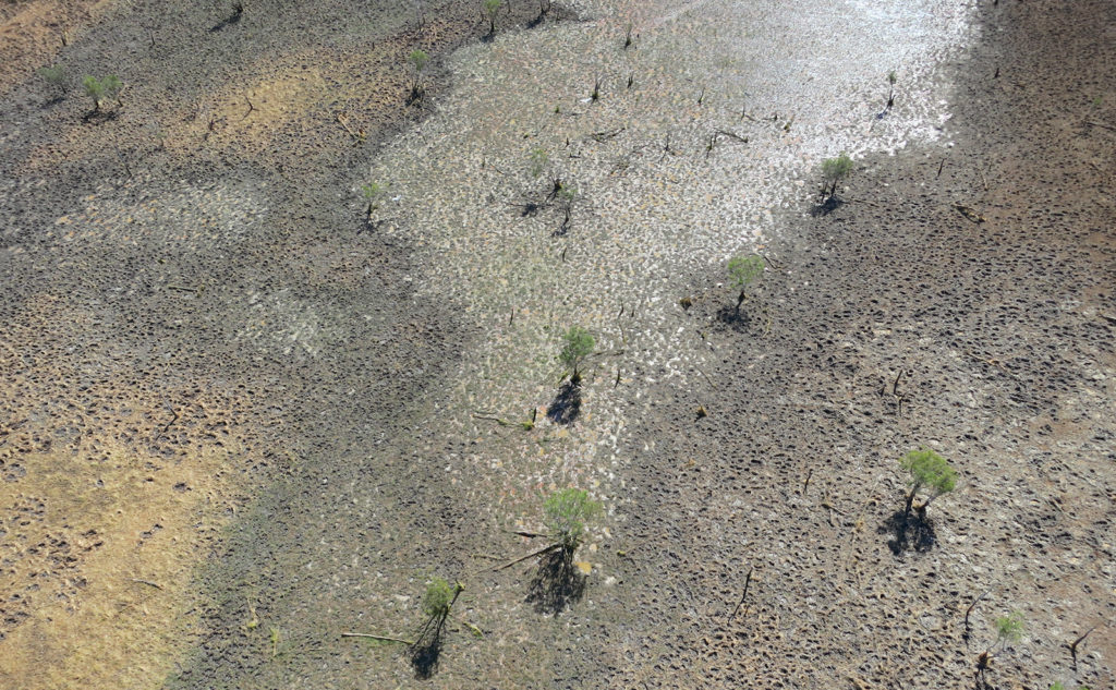 Aerial view of muddy landscape