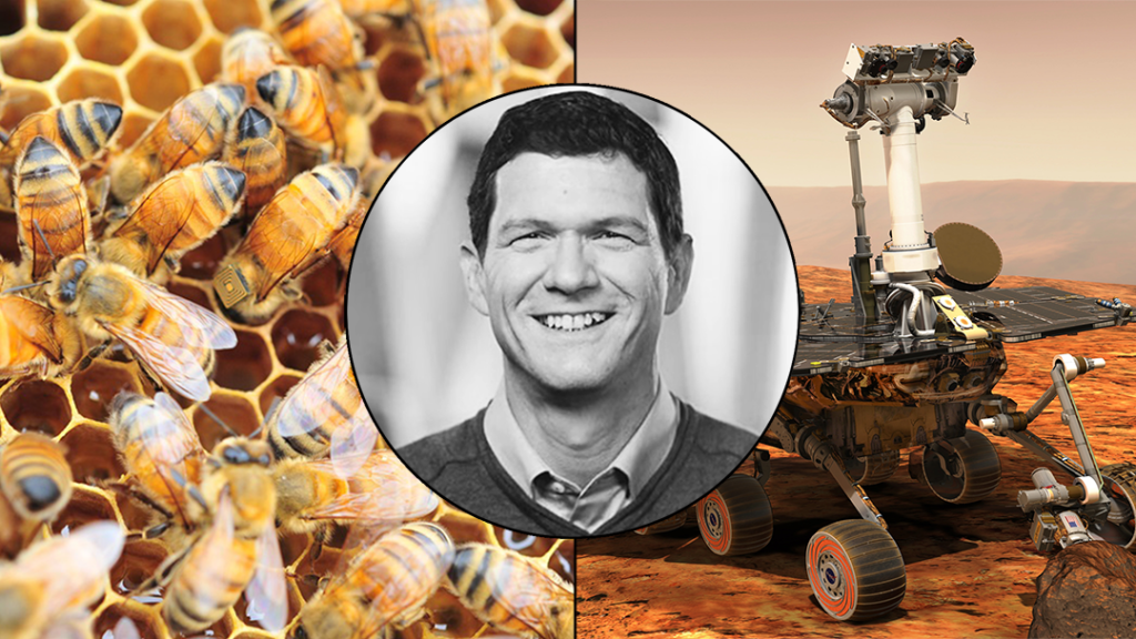 Paulo de Souza, Opportunity Mars rover, bees with backpacks