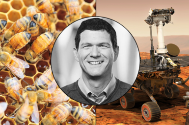 Paulo de Souza, Opportunity Mars rover, bees with backpacks