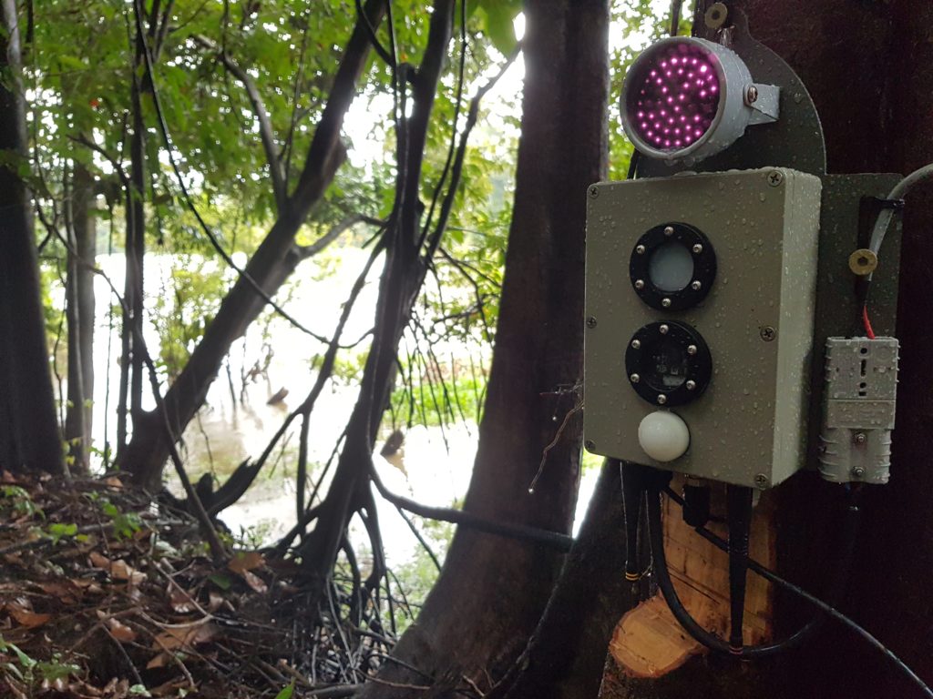 A metal box with a camera attached to a tree
