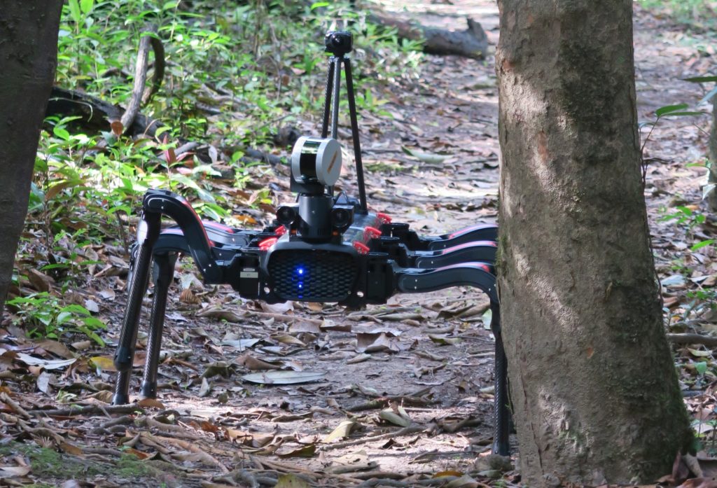 A six legged robot walks next a tree in the rainforest