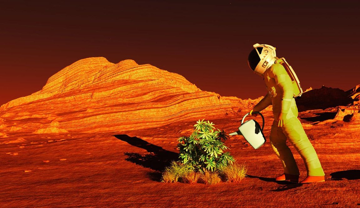 An person in a space suit watering a plant in a red desert