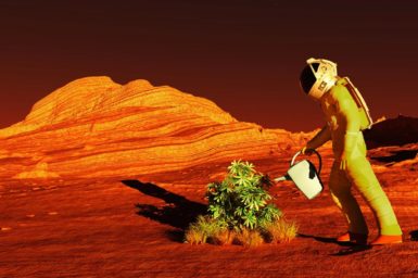An person in a space suit watering a plant in a red desert