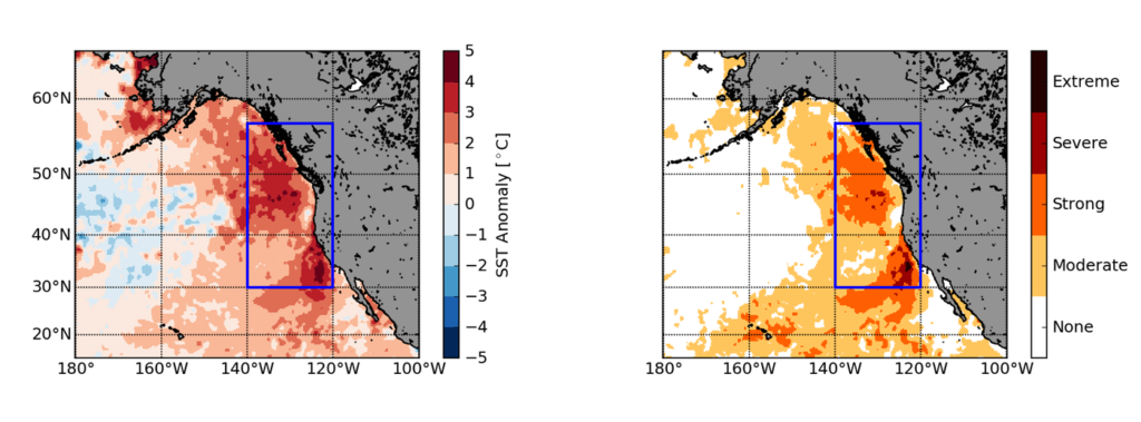 Satellite imagery showing the Northeast Pacific 2015 Marine Heatwave