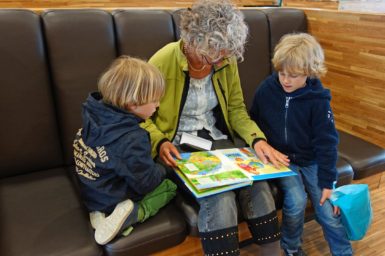 A lady reading a book to two young boys on a couch