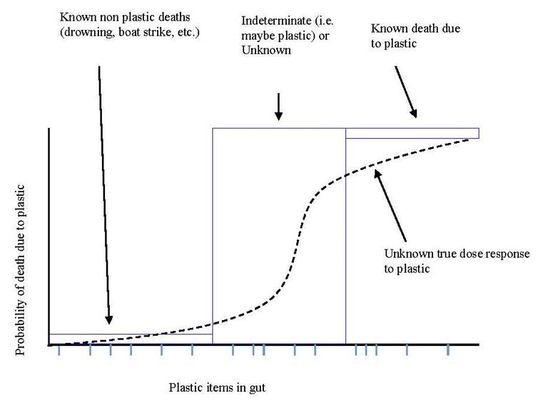 A graph showing the increased probability of death as more plastic is eaten