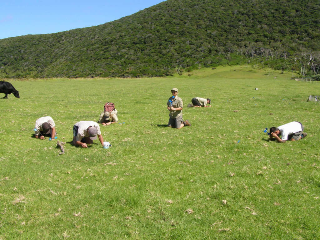Is this a centre for ants? A team of our scientists and Lord Howe Island residents on the hunt for the African big-headed ant. 