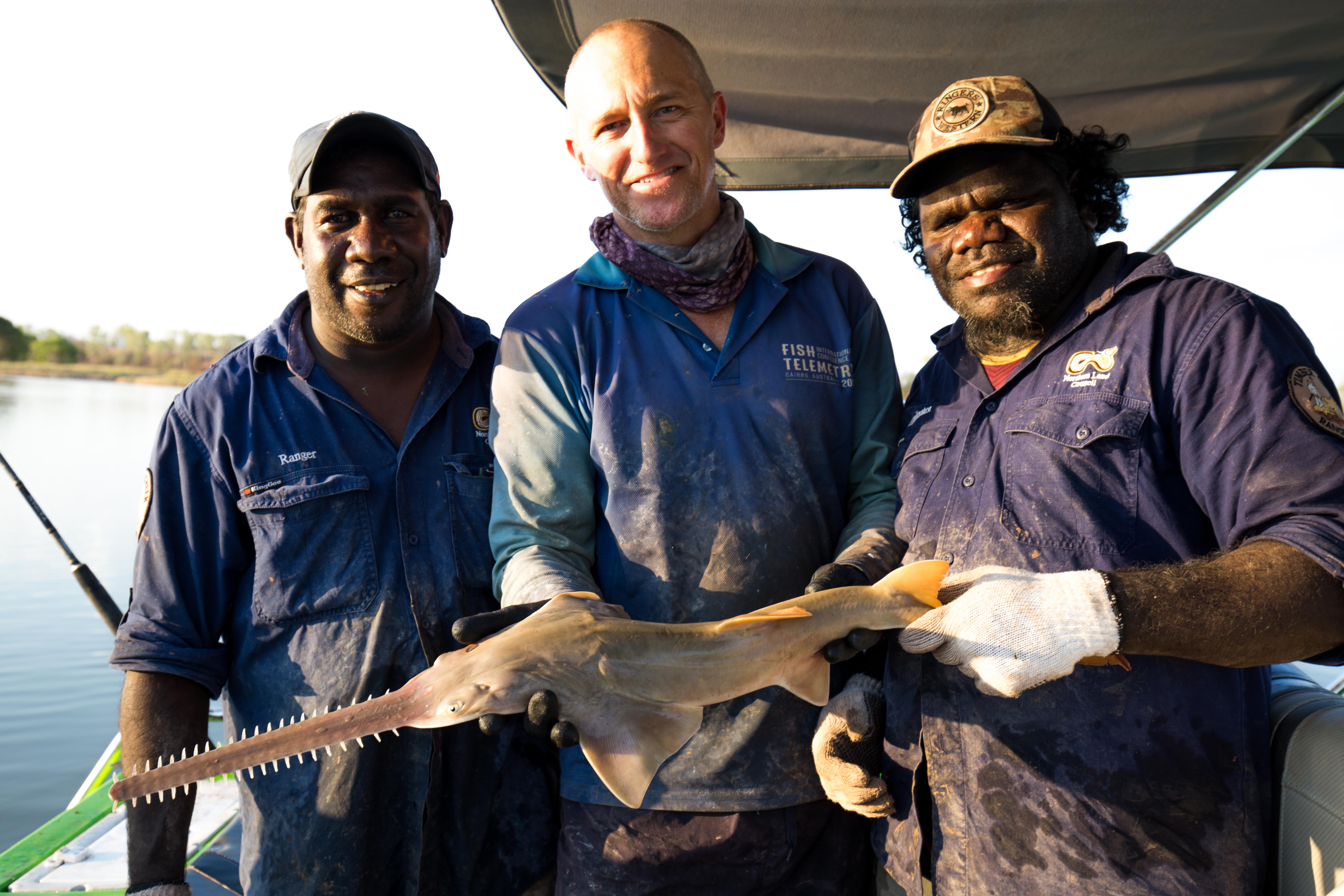 Aaron Harrison, Richard Pillans, and Floyd Rogers hold a sawfish on the Victoria River