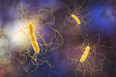 Illustration of Clostridium difficile bacteria