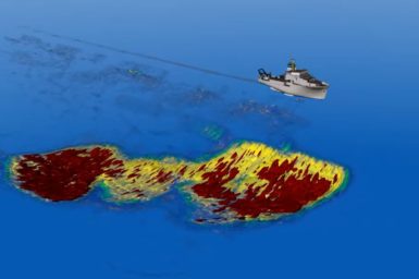 3D model krill swarm 400m long 200m wide 100m deep