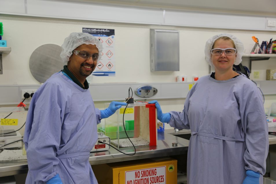 A man and a woman dressed in protective blue outfits stand in a lab with a box of mosquitoes on the counter behind them.