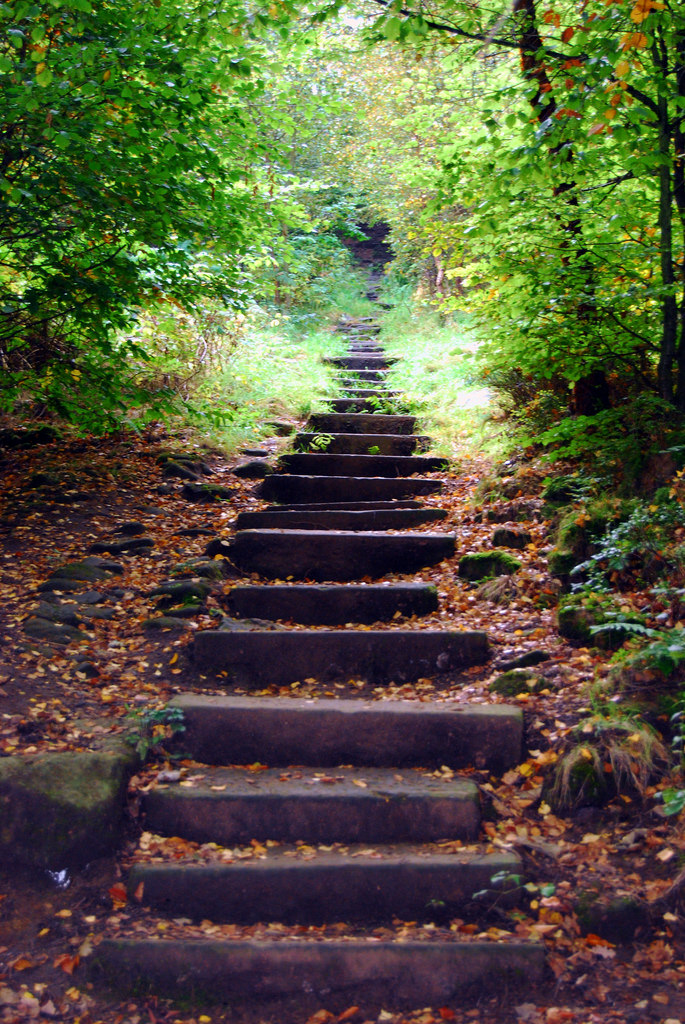 Steps. Credit: Tim Green Flickr CC BY 2.0