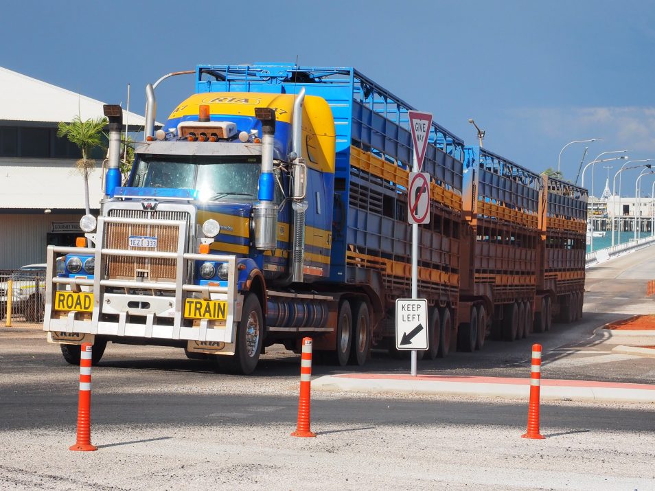 Picture of cattle truck travelling through a city.