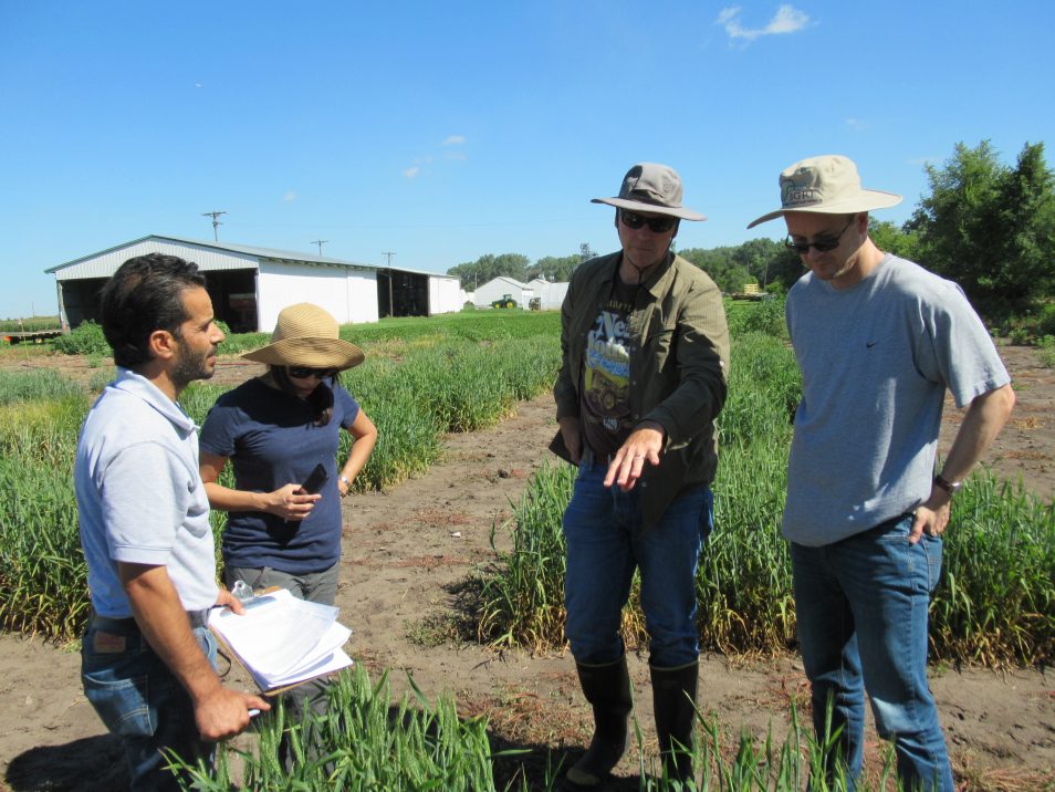 Four people standing in a field trial field.