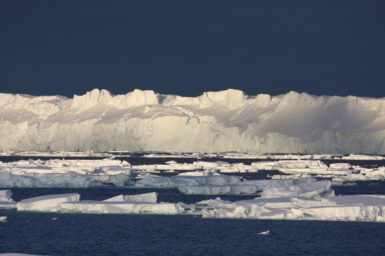 A cliff of ice towers above the ocean, in which broken sheets of ice float.