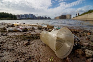Plastic cup and other waste washed up on shoreline
