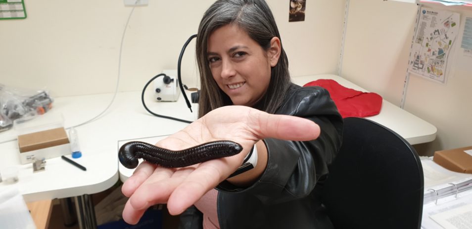 A woman holds a millipede at a desk.
