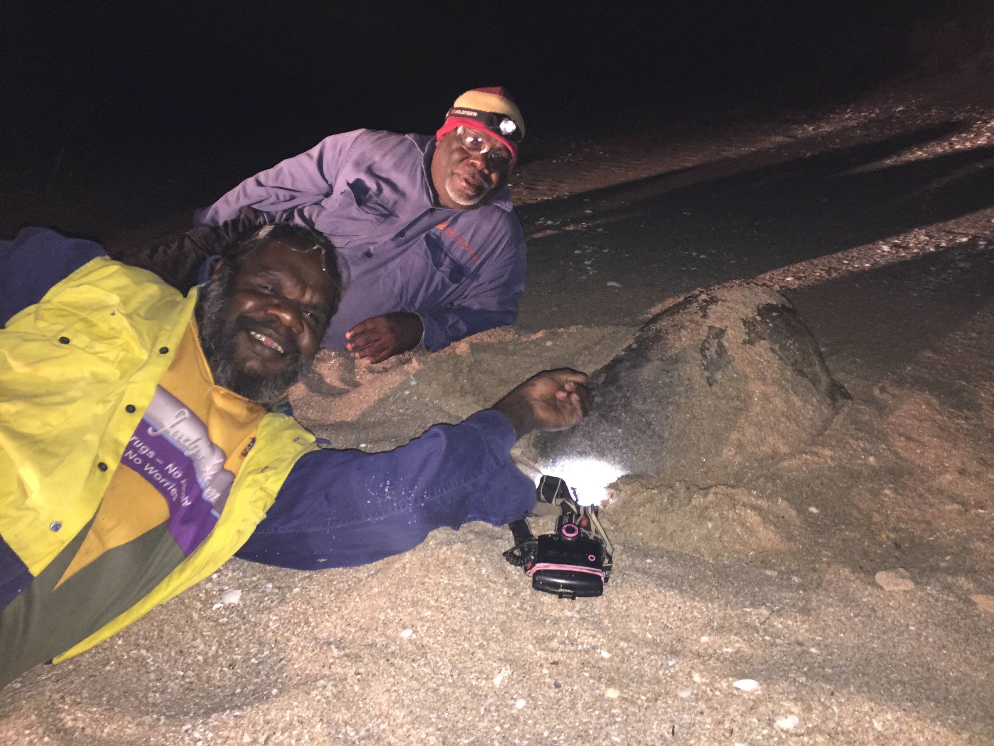 Two people lying in the sand next to a sea turtle at night with torches