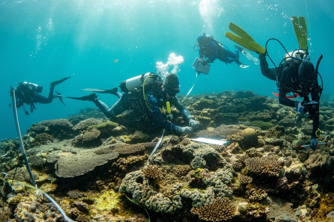 Divers swim near shallow reef to record marine debris