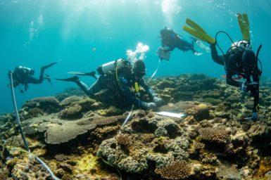 Divers swim near shallow reef to record marine debris
