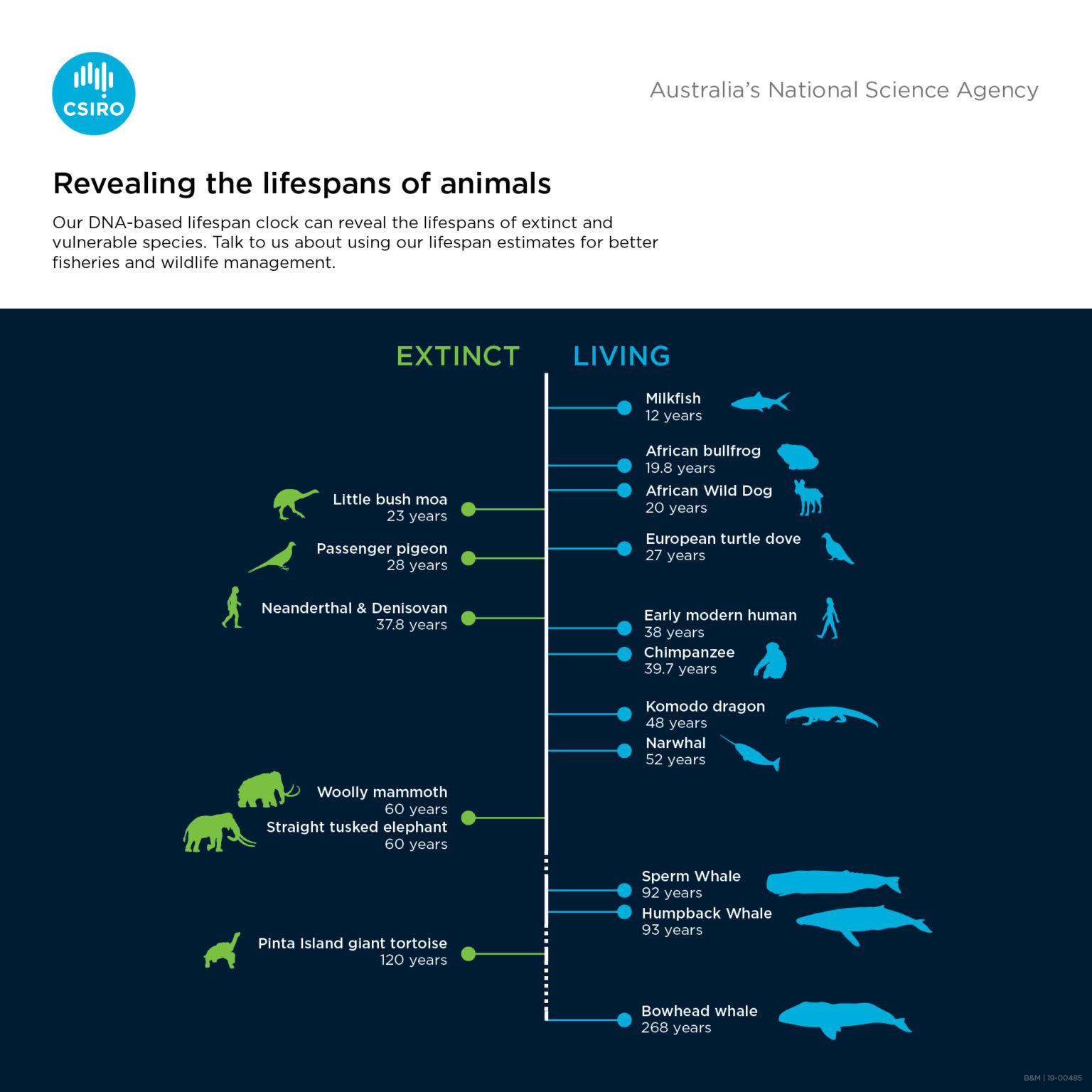 Lifespans of extinct animals revealed – CSIROscope