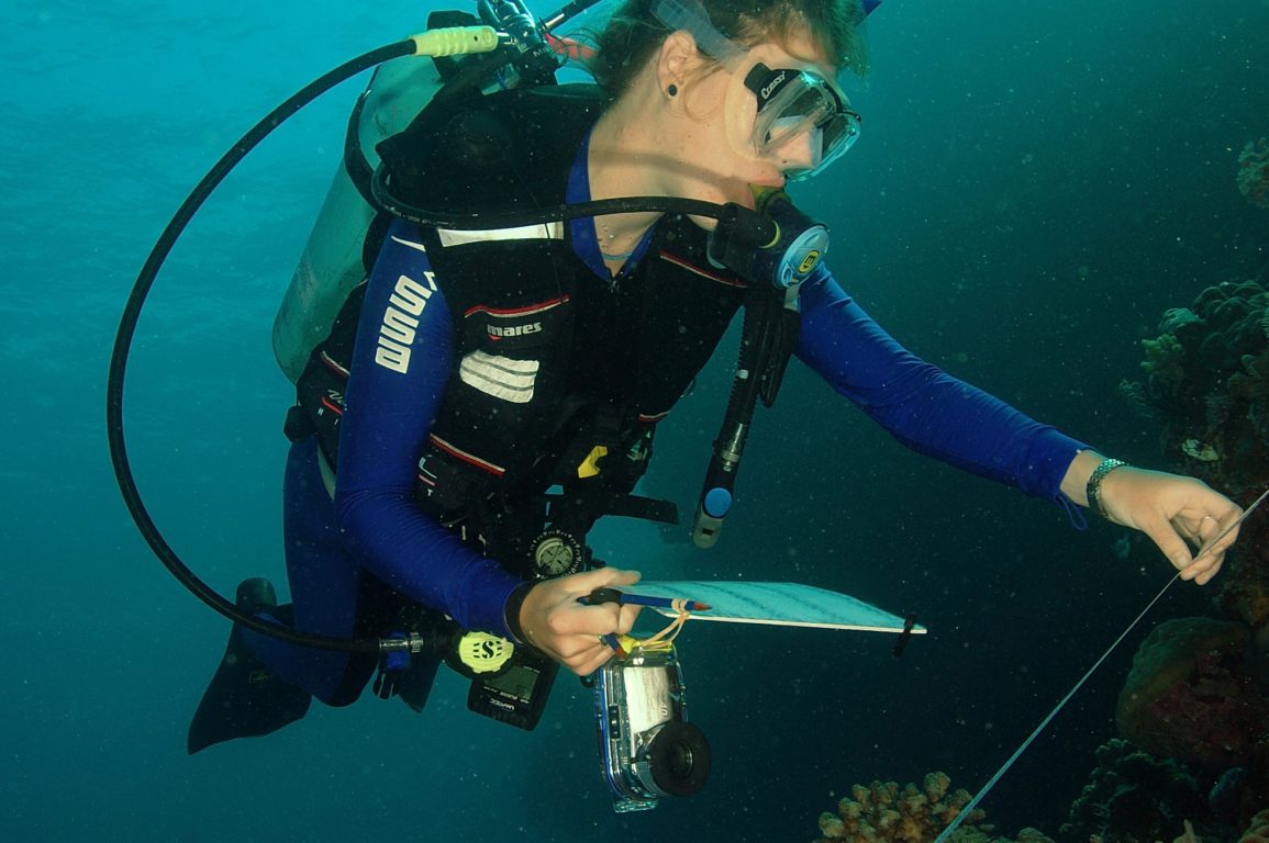 Researcher conducting a coral reef transect survey as part of coral disease research in Indonesia.