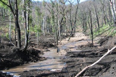 Image of muddy waterway surrounded by burnt trees and land