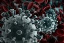 A virus cell against red blood cells