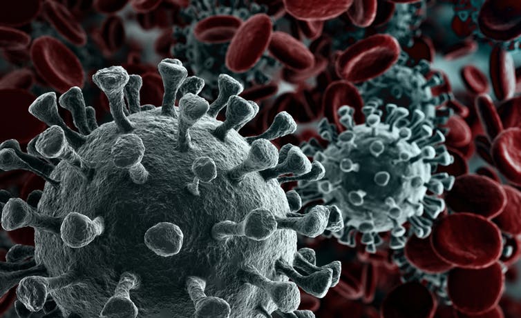 A virus cell against red blood cells