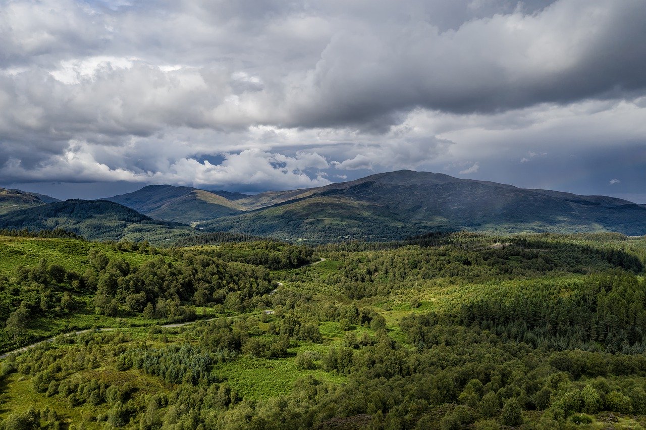view of forest and mountain landscape under cloudy sky