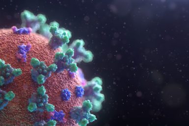 A quarter of the SARS-CoV-2 virus in the left hand side of the image. It is coloured pink (for the sphere) with blue and green spikes out of it.