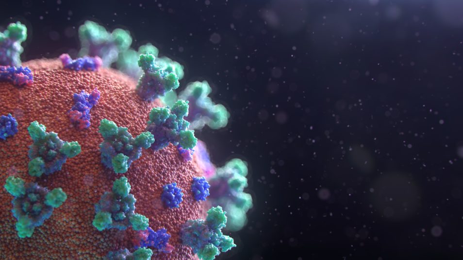 A quarter of the SARS-CoV-2 virus in the left hand side of the image. It is coloured pink (for the sphere) with blue and green spikes out of it.