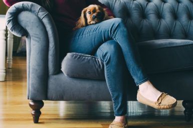 person sitting on a couch with a dog on lap