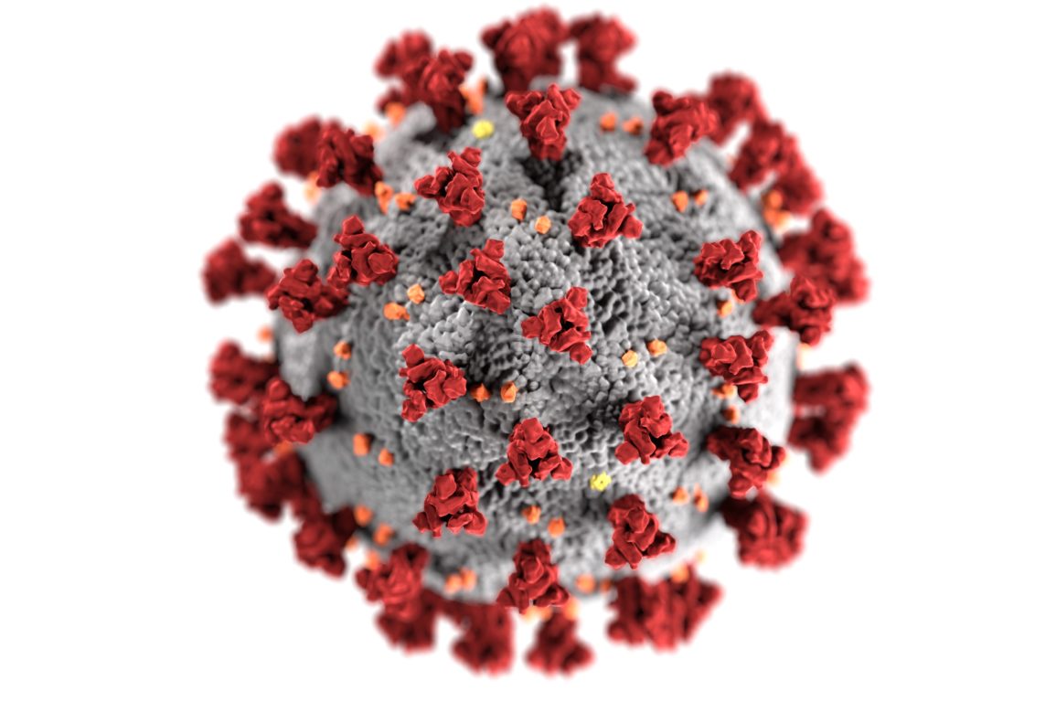 How vaccines work against viruses like SARS-CoV-2.