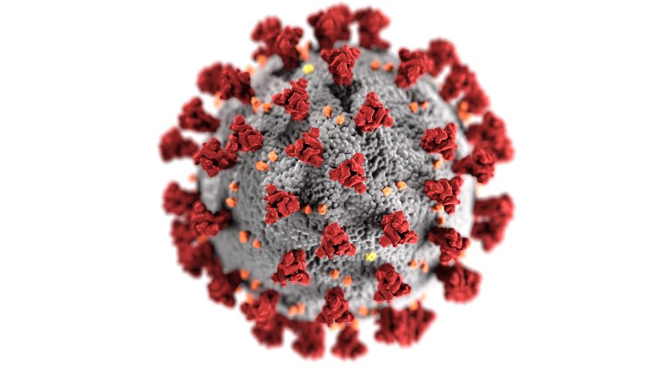 Graphic representation od the structure of a coronavirus
