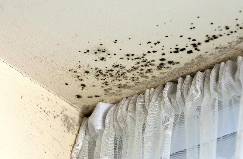 Black mould spots in the corner of a roof.