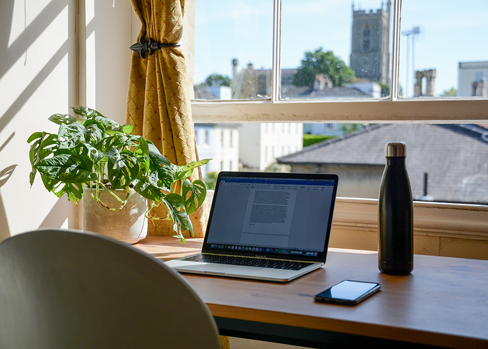 Laptop sitting on desk with plant in front of open window