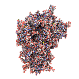An animation of the g-strain of the sars-cov-2 virus