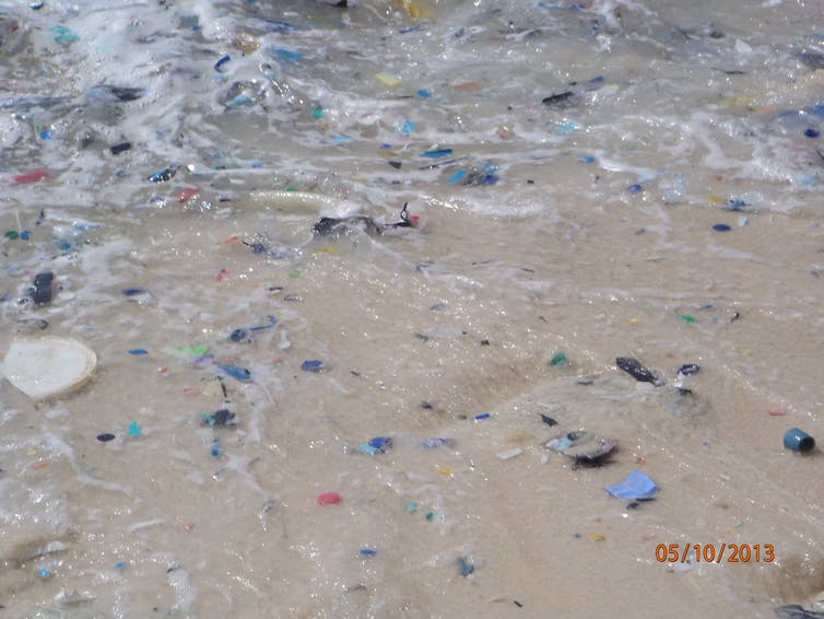 Bits of plastic washing up on the shoreline.