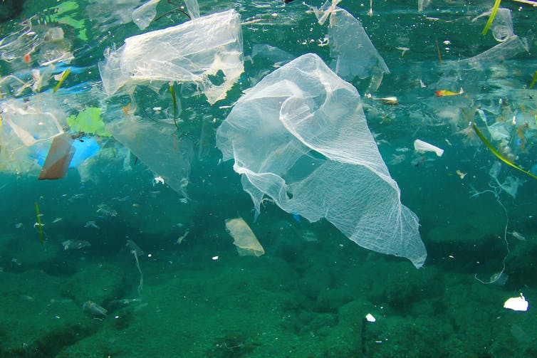 Plastic bag floats in ocean