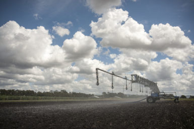 Photo of an irrigated farm being sprayed with water.