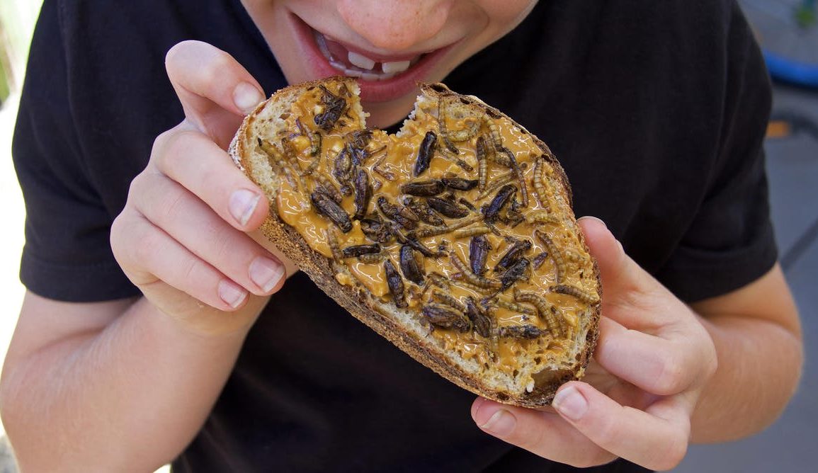 A child holding bread with edible insects on it.