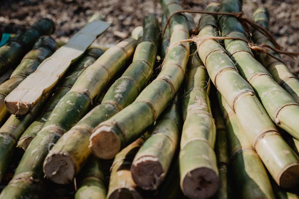 Image shows cut sugar cane stalks lying down in a pile, similar to stalks in use as part of Aus4Innovation projects. The stalks are long and several have been tied in a bundle with brown twine. One stalk has been cut lengthwise, exposing the cream-coloured and fibrous interior.