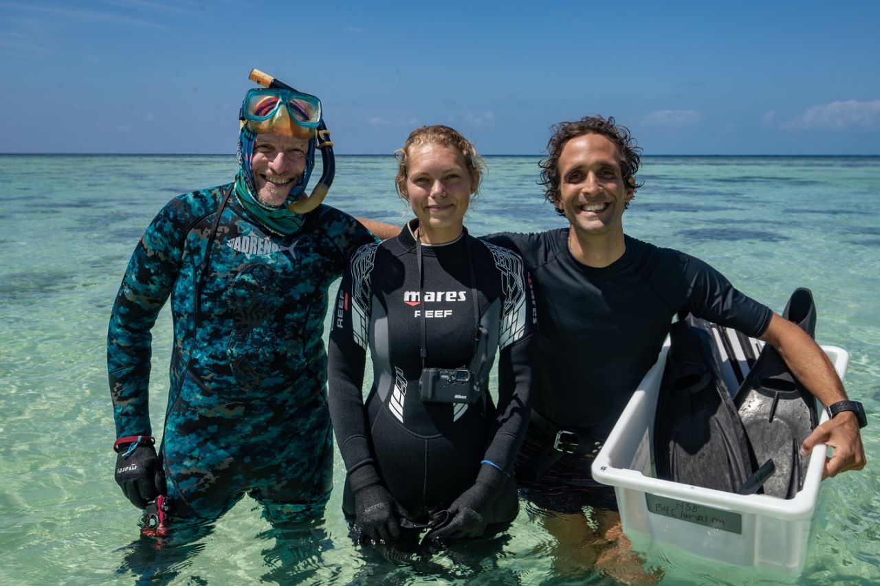 how we treat our reef. Image of three researchers in the water at the Great Barrier Reef.