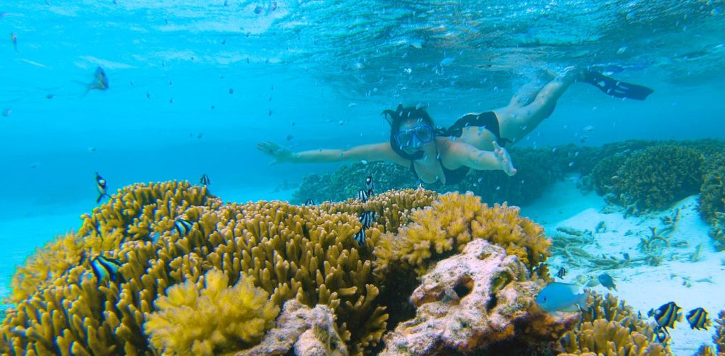 A person wearing a snorkel swims underwater behind a big and colourful coral.